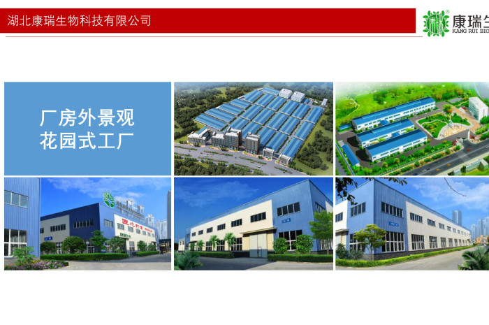 湖北膏方貼牌加工廠家電話號碼